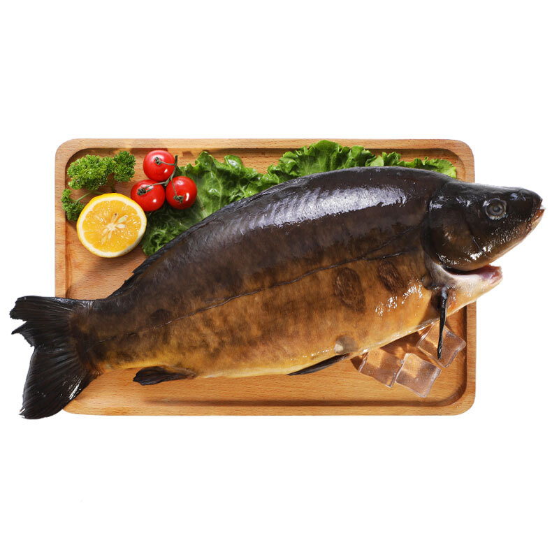 京东游水鱼 京东生鲜框镜鲤鱼 三去750g 德国品种 肉质鲜嫩 海鲜水产