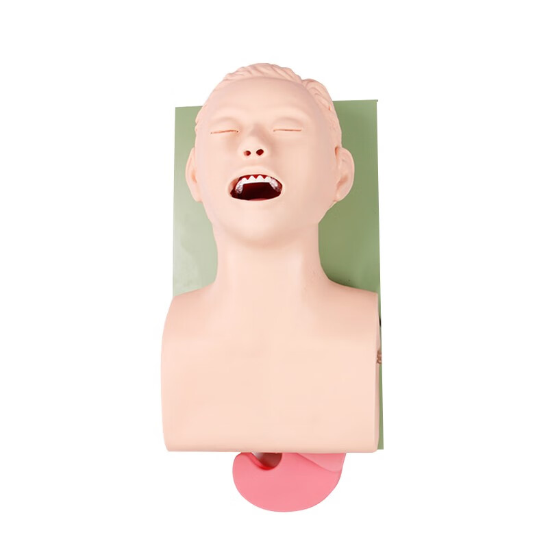 LINGXIN TECHNOLOGY 成人气管插管训练模型（牙齿压迫报警） 急救培训练习模型教学教具气道管理模型