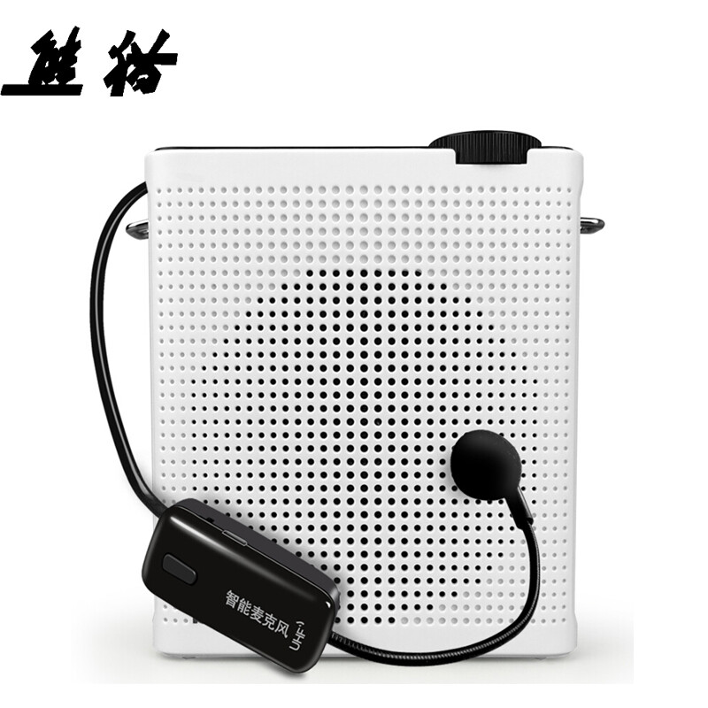 Panda k75 little bee microphone for teacher teaching wireless microphone speaker outdoor charging guide explanation U disk TF Card (white)
