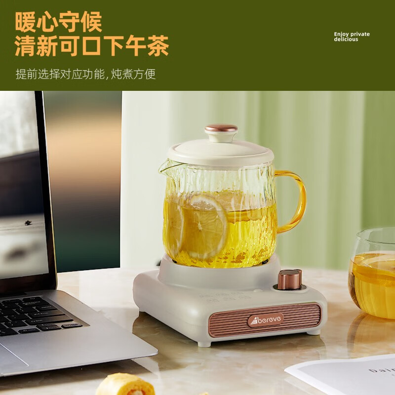 Abereve艾贝丽 (含茶漏) ABL-DD67 0.5L