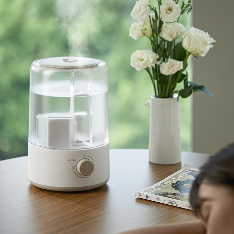 小熊（Bear） 加湿器家用空气加湿机卧室3L迷你增湿机桌面办公加湿器低噪大雾量JSQ-D30W1 【JSQ-D30W1】更润更健康