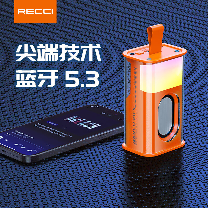 RECCI锐思（Recci）RSK-W30便携音箱RGB多彩绚酷灯光户外HIFi音质5.3蓝牙通用 朋克黑