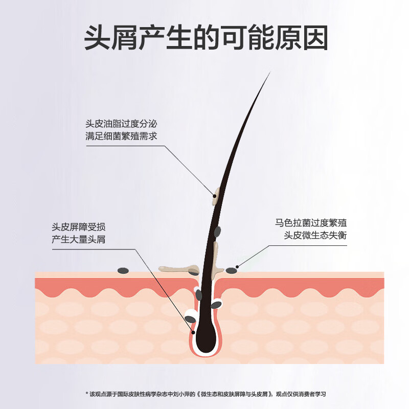 蕉蓝国际JLGJJLGJ蕉蓝国际去屑柔顺洗发露500ml