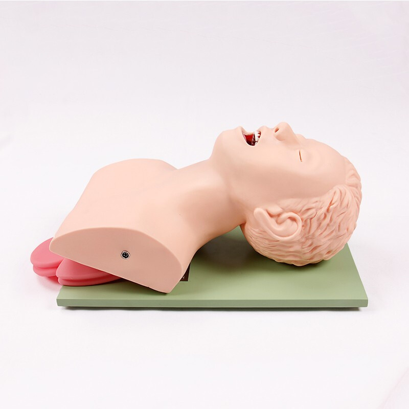 LINGXIN TECHNOLOGY 成人气管插管训练模型（牙齿压迫报警） 急救培训练习模型教学教具气道管理模型