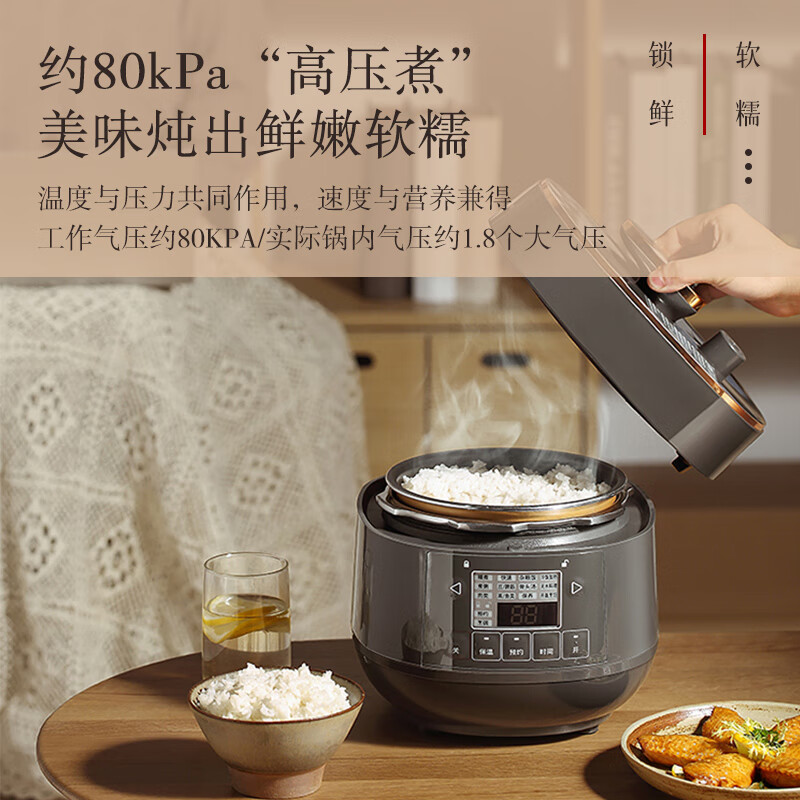 松下（Panasonic）2L电压力锅 迷你电压力锅 高压锅 电压锅 电饭锅 24小时预约 可拆洗内外盖 SR-PB201-H