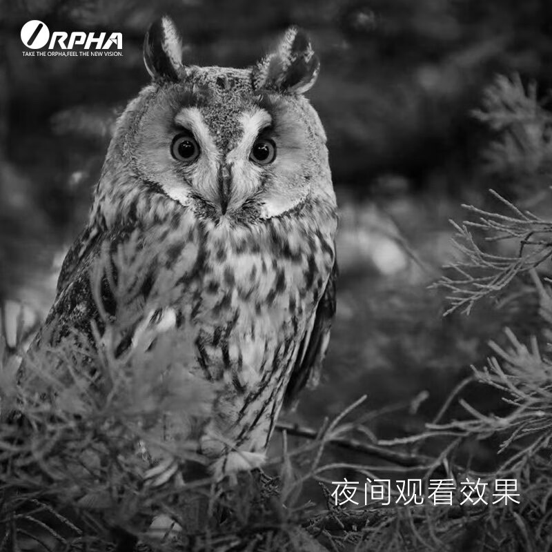 奥尔法（ORPHA）高清数码双筒夜视仪日夜两用拍照录像巡视GPS定位支持WIFI V400