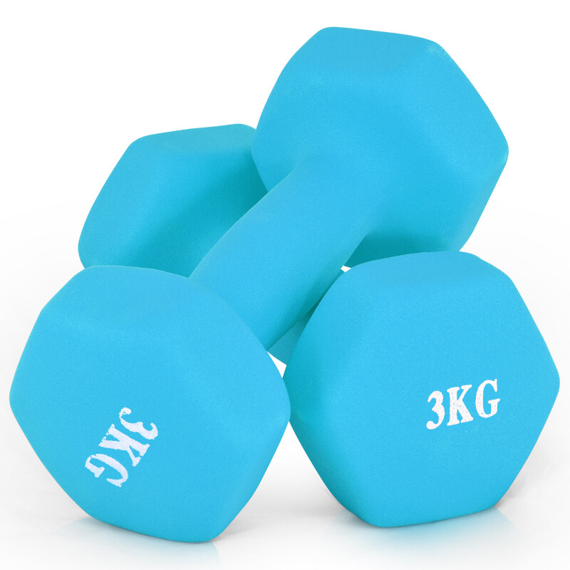 Chengyue matte impregnated plastic 6kg (3kg * 2) household women's dumbbell exercise fitness thin arm shaping Zheng Duoyan aerobics men's and women's training dumbbell cy-136 quiet blue