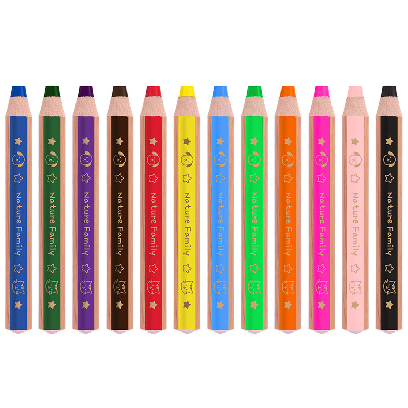 Deli 12 color 13mm thick student triangle color pencil color lead set 6597