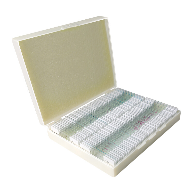 Bresser 59-84603 microscope accessories microscope biological specimen glass slide popular science teaching for children's students microbial animal, plant and insect slices 100 pieces package