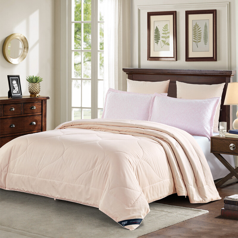 Somerelle quilt fiber cloud mulberry silk spring and autumn quilt core increased by 220 * 240cm for two