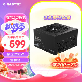 技嘉（GIGABYTE）猎鹰额定750W金牌全模组电脑电源（80PLUS金牌/支持RTX3060/3070/五年保障）UD750GM