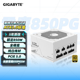 技嘉（GIGABYTE）雪鹰 白色限定 额定850W金牌认证全模组电源/ATX 3.0/PCIE5.0/原生16PIN/五年保障/支持40系列显卡