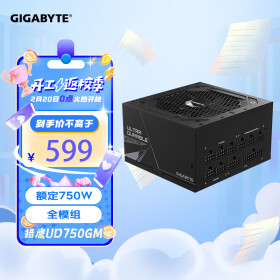 技嘉（GIGABYTE）猎鹰额定750W金牌全模组电脑电源（80PLUS金牌/支持RTX3060/3070/五年保障）UD750GM