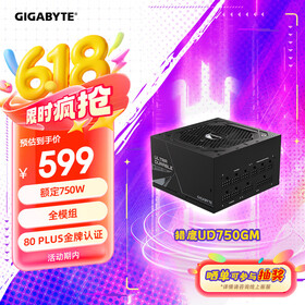 技嘉（GIGABYTE）猎鹰额定750W金牌全模组电脑电源（80PLUS金牌/支持RTX3060/3070/五年保障）UD750GM