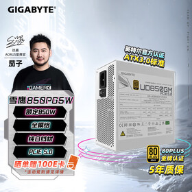 技嘉（GIGABYTE）雪鹰 白色限定 额定850W金牌认证全模组电源/ATX 3.0/PCIE5.0/原生16PIN/五年保障/支持40系列显卡