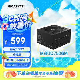 技嘉（GIGABYTE）猎鹰额定750W金牌全模组电脑电源（80PLUS金牌/支持RTX3060/3070/五年保障）UD750GM