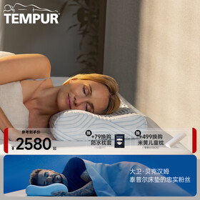 泰普尔 丹麦进口记忆棉感温枕慢回弹枕头睡眠枕头夏凉枕枕芯酷爽感温枕 酷爽感温枕QM（蓝色升级款）