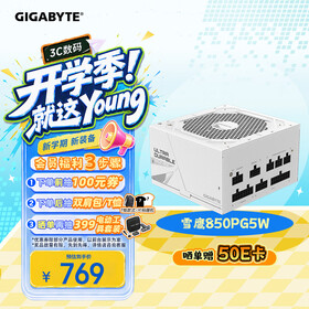 技嘉（GIGABYTE）雪鹰 白色限定 额定850W金牌认证全模组电源/ATX 3.0/PCIE5.0/原生16PIN/五年保障/支持40系列显卡