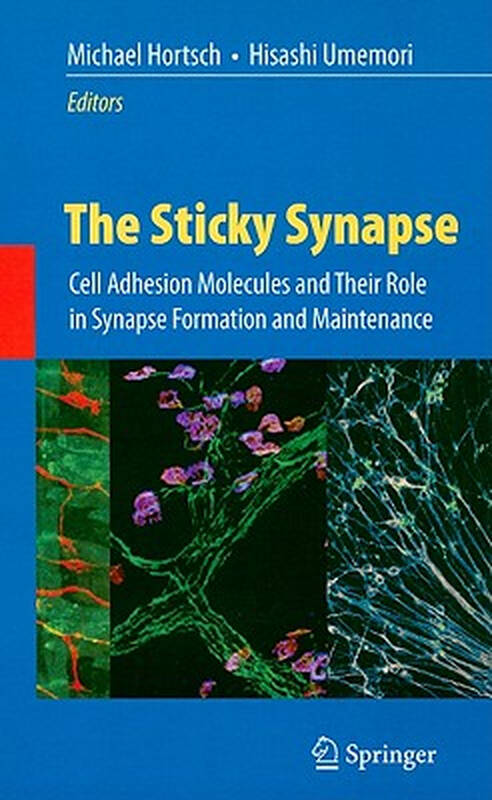 【预订】the sticky synapse: cell adhesion
