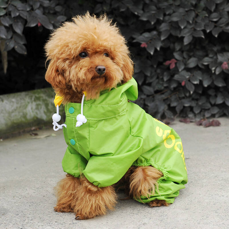 贵宾比熊雪纳瑞小狗雨披泰迪小型犬博美宠物雨衣夏 绿色宠物雨衣 xl