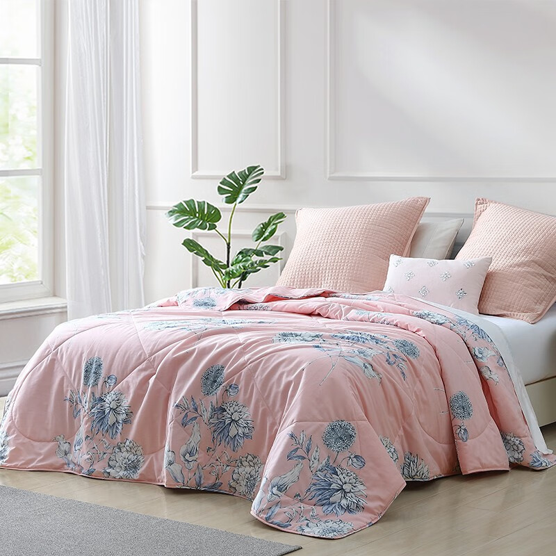 梦洁家纺maison 被芯 夏凉被 全棉薄被子 纯棉可机洗空调被 陌颜 150*