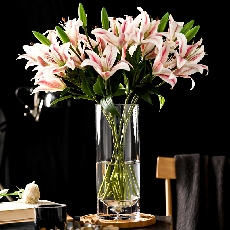 細菌白菜牛肉30cm 花瓶筋ファーム習熟度