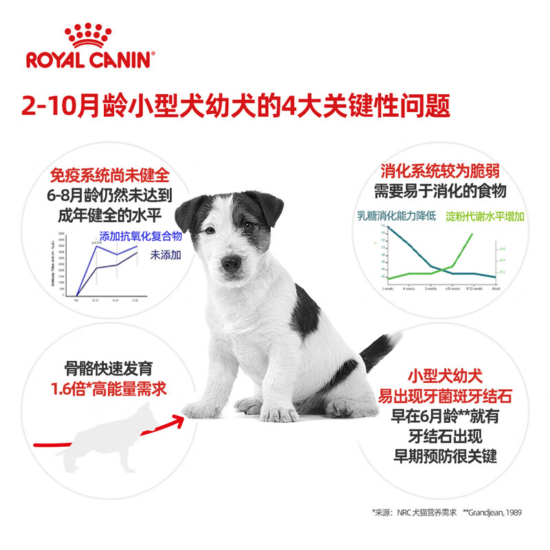 ROYAL CANIN 皇家狗粮 MIJ31小型犬幼犬狗粮 2-10月龄 全价粮 0.8kg 贵宾泰迪比熊