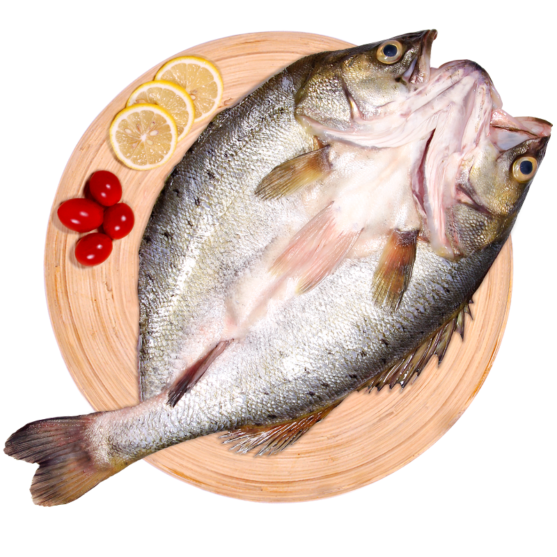 仙泉湖 白蕉海鲈鱼三去净膛500~600g(珠海地标特产