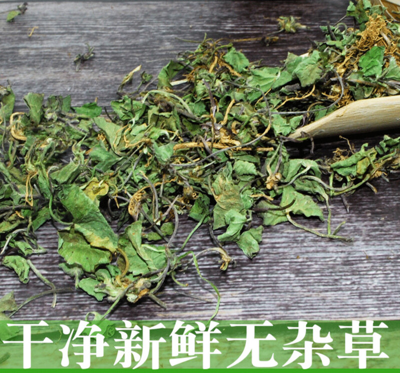 新鲜晒干雷公根崩大碗偏远山区积雪草精选250克