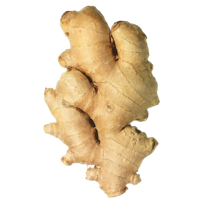 带泥生姜新鲜山东优质黄姜驱寒大块老姜母干姜月子姜净重约3斤