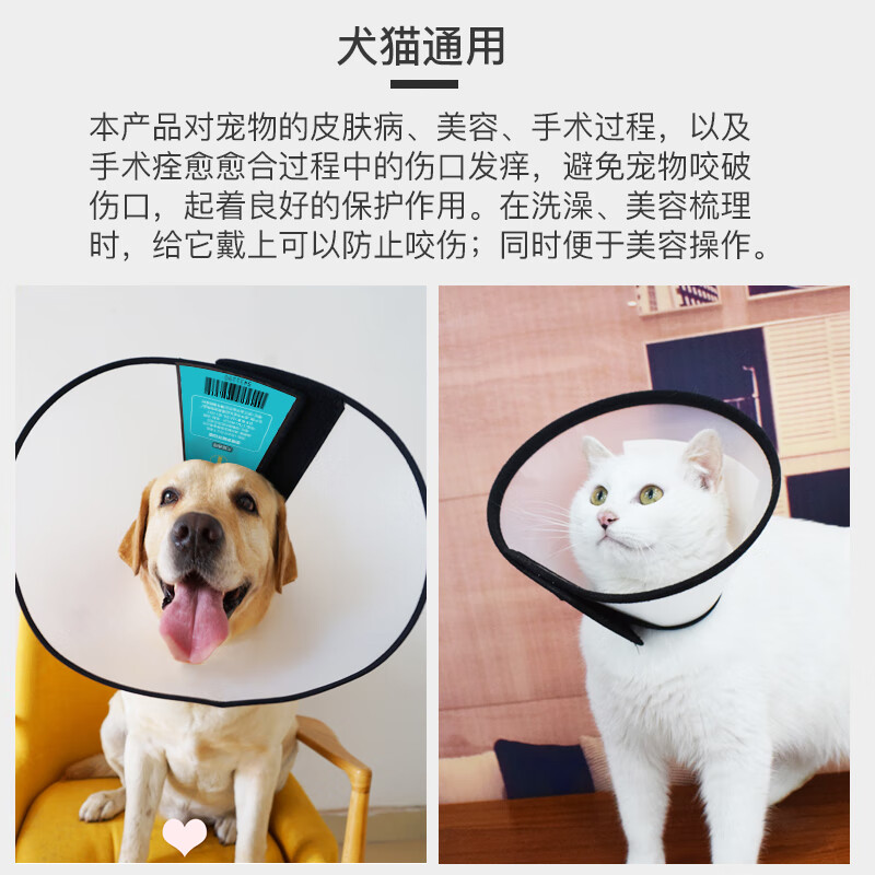 憨憨乐园 伊丽莎白圈 耻辱圈狗狗项圈狗头套猫项圈宠物狗脖套猫头套防咬圈狗用品1号40斤以下宠物