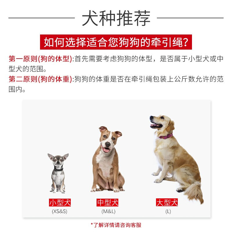 德国进口福莱希flexi外星人运动版狗狗牵引绳自动伸缩遛狗绳子神器金毛哈士奇中大型犬狗链子带状l号 商品详情