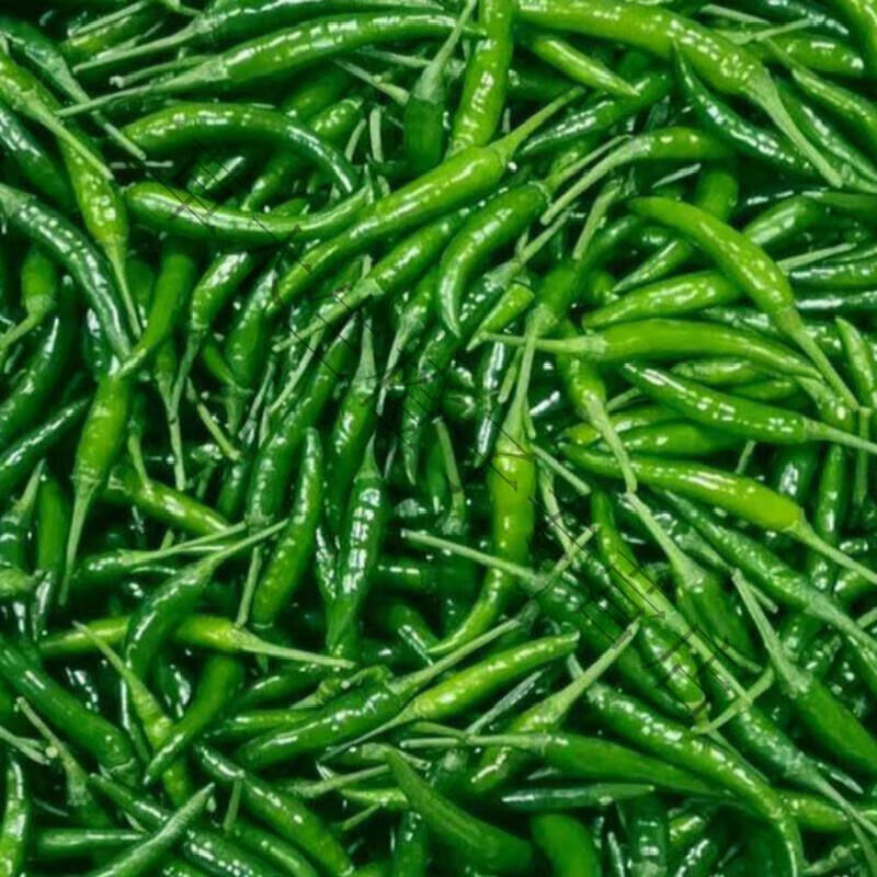 恬女神 青小米椒新鲜 特辣指朝天椒椒尖剁泡剁椒超辣椒现货小米 3斤