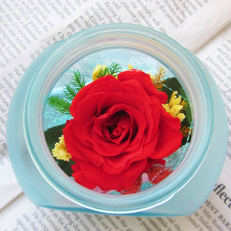 清凉音 保鲜花漂流瓶许愿瓶 创意礼品 送女友生日礼物圣诞节礼物 红色