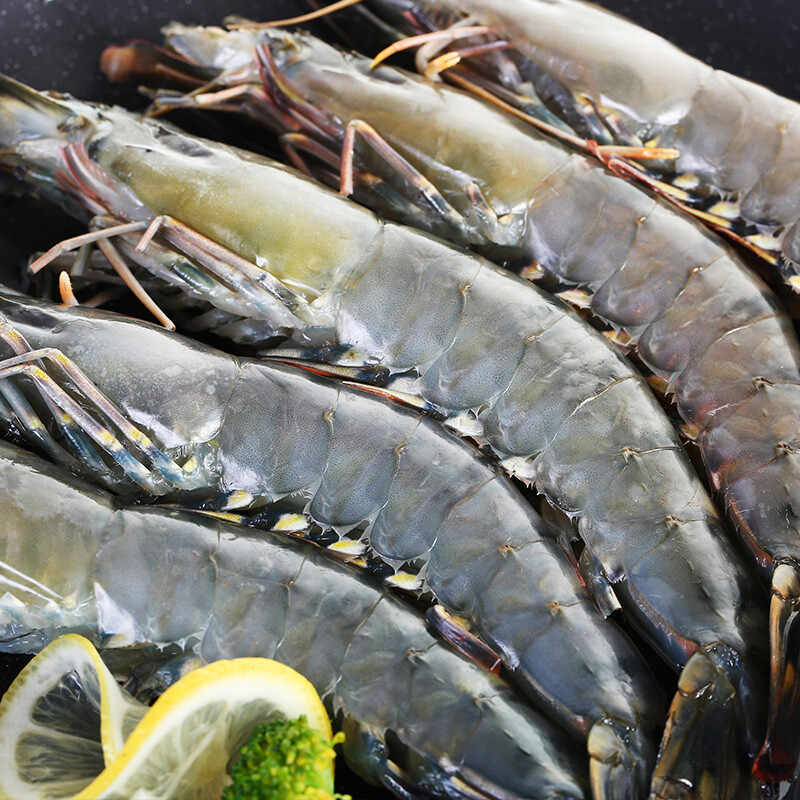 京觅·海外直采 泰国黑虎虾(巨型限量款)1.