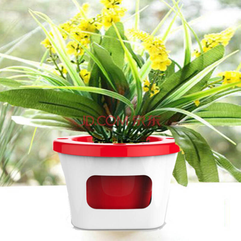 双层多功能花盆