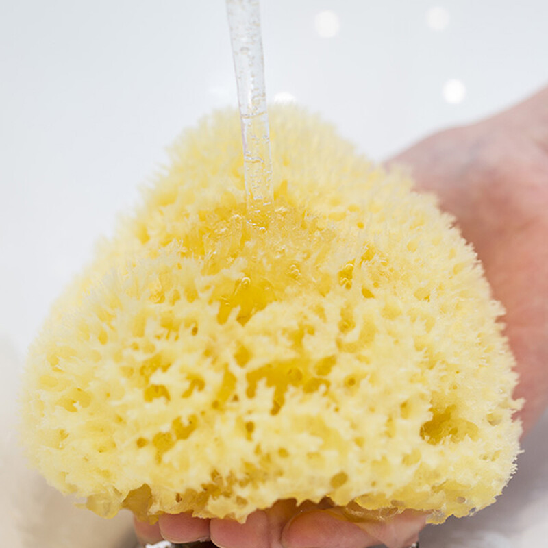 网易严选 地中海天然蜂窝海绵 吸水轻薄婴儿沐浴海绵成人卸妆洁面海绵