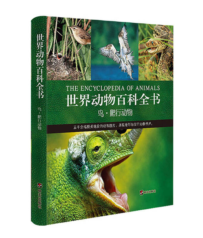 世界动物百科全书:鸟·爬行动物 自营