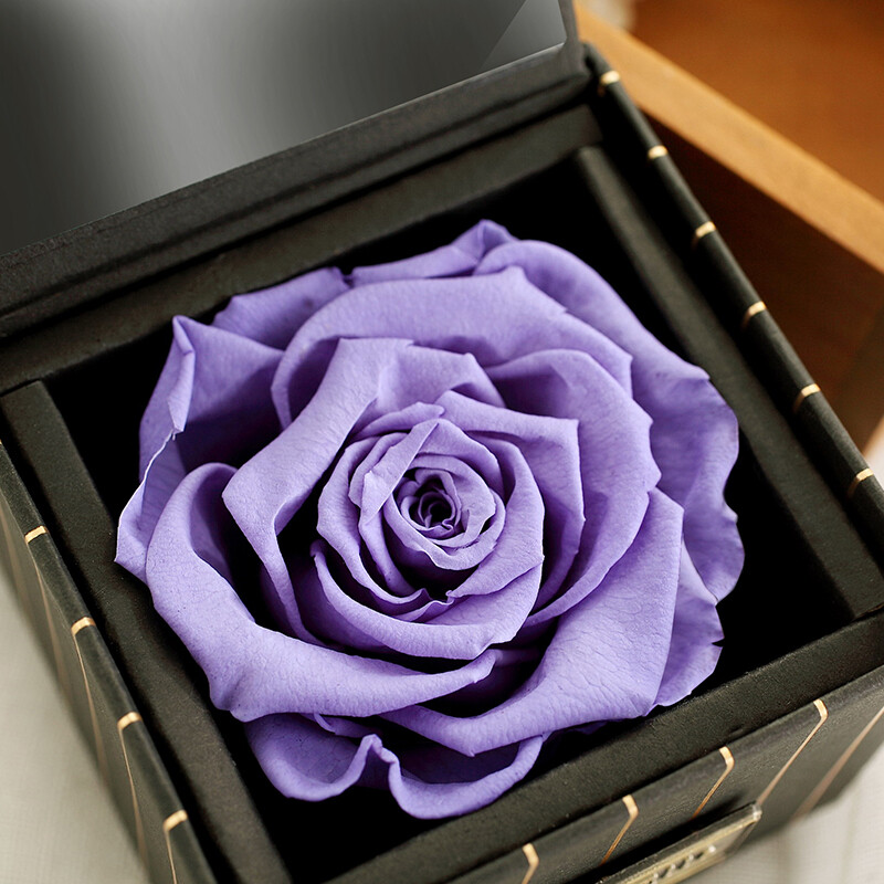 para ella紫色进口永生花玫瑰花礼盒同城鲜花速递七夕情人节礼物生日