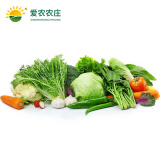 爱农 有机蔬菜套餐 5口之家 月度 约5kg/箱/次 配送4箱