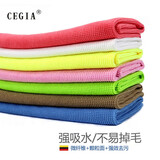 CEGIA 无尘抹布 实验室 药厂GMP车间用强吸水不易掉毛无尘布洁净抹布无尘毛巾 灰色 40X40（1条）
