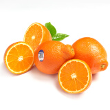  新奇士Sunkist 美国进口美人柑 6粒装 单果重约160-190g 新鲜橘子水果