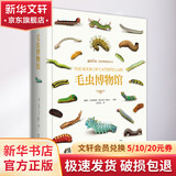 生物博物馆图鉴系列自选 贝壳博物馆 蛇类博物馆 树叶博物馆 蘑菇博物馆 蛙类博物馆 甲虫博物馆 兰花博物馆 鸟卵博物馆毛虫博物馆 正版自选 博物文库 自然博物馆丛书 给儿童的科普百科全书读物 毛虫博物