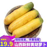 山西新鲜黄胡萝卜 2.5kg 黄萝卜新鲜手抓饭萝卜 新鲜蔬菜 一箱