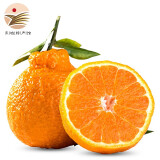 【东坡馆】四川不知火丑橘丑柑手剥橘子新鲜水果 4.5-5斤(拍2份合发8斤)