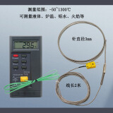 亿汀 单通道温度表 DT1310表+探针310-3mm(1300℃) 单位台