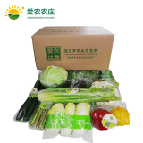 爱农 有机蔬菜 生鲜组合 蔬菜套餐 2-3口之家 年度  配送52次