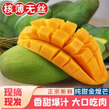 集年鲜广西青皮大芒果 青黄玉芒随机发 热带新鲜水果整箱送礼 净重9斤状元果（单果300起）
