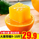 【东坡馆】麻阳冰糖橙当季新鲜甜橙子水果 大果9-10斤/箱