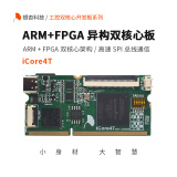 银杏科技（GINGKO）ARM FPGA双核心工控开发板STM32H750iCore4T iCore4T  EP4CE10（含专票） 不含iToolA仿真器